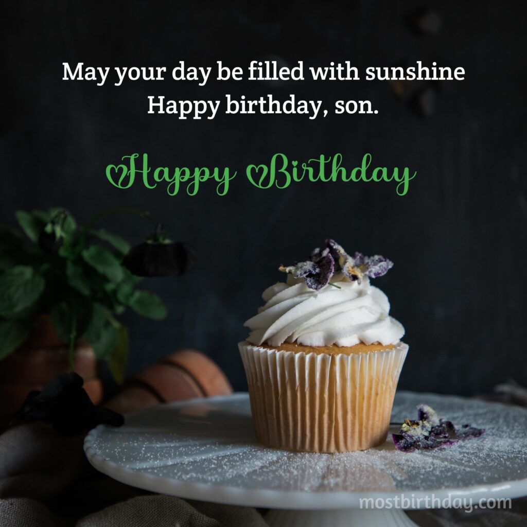 Son's Birthday Delight: Best Wishes and Love
